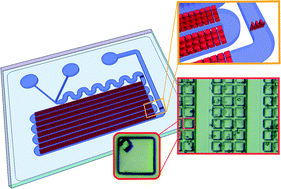 Graphical abstract: McCLEC, a robust and stable enzymatic based microreactor platform