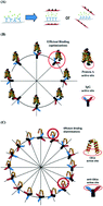 Graphical abstract: Efficiency optimisation of proteins on a chip