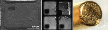 Graphical abstract: Large area magnetic micropallet arrays for cell colony sorting