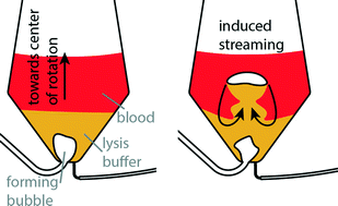 Graphical abstract: Rigorous buoyancy driven bubble mixing for centrifugal microfluidics