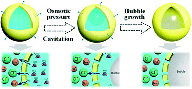 Graphical abstract: Osmotic pressure-triggered cavitation in microcapsules