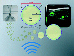 Graphical abstract: On-chip preparation of nanoscale contrast agents towards high-resolution ultrasound imaging