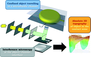 Graphical abstract: Absolute 3D reconstruction of thin films topography in microfluidic channels by interference reflection microscopy