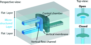Graphical abstract: Leak-tight vertical membrane microvalves
