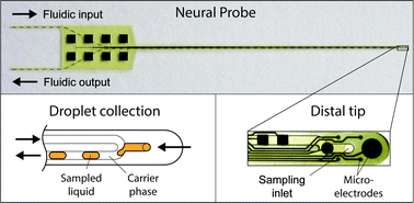 Graphical abstract: Neural probe combining microelectrodes and a droplet-based microdialysis collection system for high temporal resolution sampling