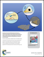 Graphical abstract: Back cover