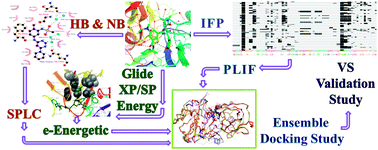 Graphical abstract: Target specific proteochemometric model development for BACE1 – protein flexibility and structural water are critical in virtual screening