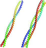 Graphical abstract: AAFreqCoil: a new classifier to distinguish parallel dimeric and trimeric coiled coils