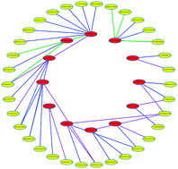 Graphical abstract: A computational method for the identification of new candidate carcinogenic and non-carcinogenic chemicals