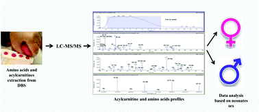 Graphical abstract: Female and male human babies have distinct blood metabolomic patterns