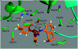 Graphical abstract: In silico research to assist the investigation of carboxamide derivatives as potent TRPV1 antagonists