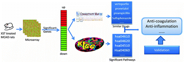 Graphical abstract: Dissecting Xuesaitong's mechanisms on preventing stroke based on the microarray and connectivity map