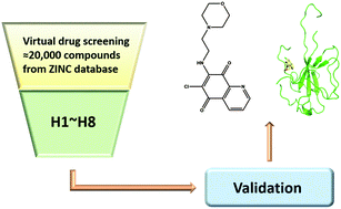 Graphical abstract: Structure-based virtual screening and experimental validation of the discovery of inhibitors targeted towards the human coronavirus nucleocapsid protein