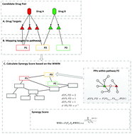 Graphical abstract: Synergy evaluation by a pathway–pathway interaction network: a new way to predict drug combination