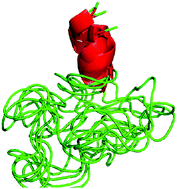 Graphical abstract: Deducing the functional characteristics of the human selenoprotein SELK from the structural properties of its intrinsically disordered C-terminal domain