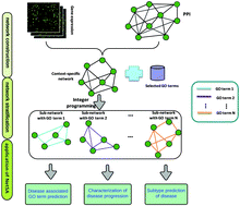 Graphical abstract: Network stratification analysis for identifying function-specific network layers