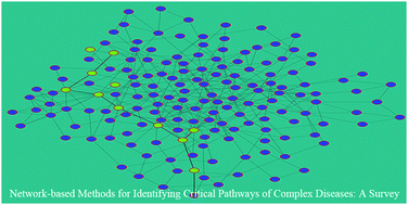 Graphical abstract: Network-based methods for identifying critical pathways of complex diseases: a survey