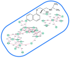 Graphical abstract: Metabolomics reveals the physiological response of Pseudomonas putida KT2440 (UWC1) after pharmaceutical exposure