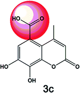 Graphical abstract: 4-Methylcoumarins with cytotoxic activity against T24 and RT4 human bladder cancer cell lines