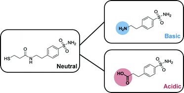 Graphical abstract: Target-based analysis of ionization states of bioactive compounds