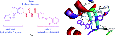 Graphical abstract: Synthesis and evaluation of novel N-3-benzimidazolephenylbisamide derivatives for antiproliferative and Hedgehog pathway inhibitory activity