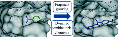 Graphical abstract: Fragment growing exploiting dynamic combinatorial chemistry of inhibitors of the aspartic protease endothiapepsin