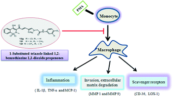 Graphical abstract: Synthesis of novel 1-substituted triazole linked 1,2-benzothiazine 1,1-dioxido propenone derivatives as potent anti-inflammatory agents and inhibitors of monocyte-to-macrophage differentiation