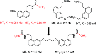 Graphical abstract: Novel difluoroacetamide analogues of agomelatine and melatonin: probing the melatonin receptors for MT1 selectivity