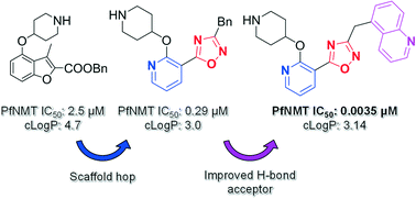 Graphical abstract: Discovery of pyridyl-based inhibitors of Plasmodium falciparum N-myristoyltransferase