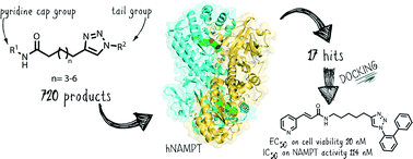 Graphical abstract: Identification of a novel NAMPT inhibitor by combinatorial click chemistry and chemical refinement