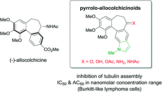 Graphical abstract: Synthesis of indole-derived allocolchicine congeners exhibiting pronounced anti-proliferative and apoptosis-inducing properties