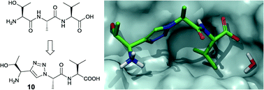 Graphical abstract: Design and synthesis of triazole-based peptidomimetics of a PSD-95 PDZ domain inhibitor