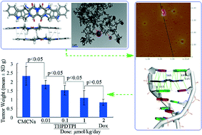 Graphical abstract: Design, synthesis and evaluation of a novel π–π stacking nano-intercalator as an anti-tumor agent
