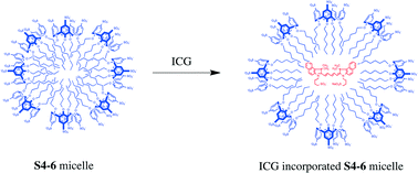 Graphical abstract: Enhancement of aqueous stability and fluorescence brightness of indocyanine green using small calix[4]arene micelles for near-infrared fluorescence imaging