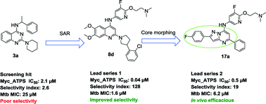 Graphical abstract: Scaffold morphing leading to evolution of 2,4-diaminoquinolines and aminopyrazolopyrimidines as inhibitors of the ATP synthesis pathway