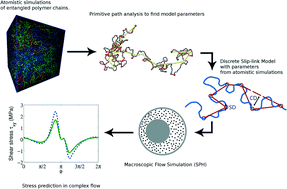 Graphical abstract: Smoothed particle hydrodynamics simulation of viscoelastic flows with the slip-link model