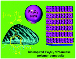 Graphical abstract: Ultrastrong composites from dopamine modified-polymer-infiltrated colloidal crystals