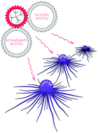 Graphical abstract: Homoleptic phosphino copper(i) complexes with in vitro and in vivo dual cytotoxic and anti-angiogenic activity