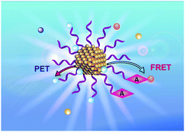 Graphical abstract: Ultrasensitive optical detection of anions by quantum dots