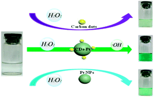 Graphical abstract: Superior peroxidase mimetic activity of carbon dots–Pt nanocomposites relies on synergistic effects