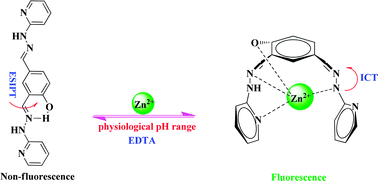 Graphical abstract: A simple pincer-type chemosensor for reversible fluorescence turn-on detection of zinc ion at physiological pH range