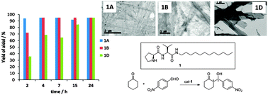 Graphical abstract: Study of the effect of polymorphism on the self-assembly and catalytic performance of an l-proline based molecular hydrogelator