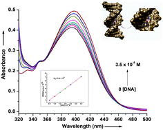 Graphical abstract: Physicochemical properties of the ternary complexes of Pt(ii) with uracil and small peptide moieties: an experimental and computational study