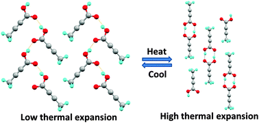 Graphical abstract: Can the thermal expansion be controlled by varying the hydrogen bond dimensionality in polymorphs?