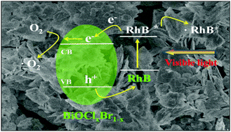 Graphical abstract: Synergistic degradation of rhodamine B on BiOClxBr1−x sheets by combined photosensitization and photocatalysis under visible light irradiation