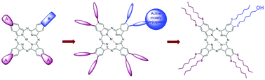 Graphical abstract: The synthesis of an octasubstituted monohydroxylated phthalocyanine designed to investigate the effect of the presence of active moieties