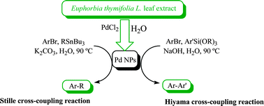 Graphical abstract: Preparation of palladium nanoparticles using Euphorbia thymifolia L. leaf extract and evaluation of catalytic activity in the ligand-free Stille and Hiyama cross-coupling reactions in water