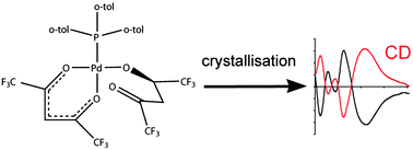 Graphical abstract: A missing link between chiral four- and five-coordinate complexes