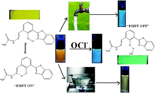 Graphical abstract: Ratiometric detection of hypochlorite applying the restriction to 2-way ESIPT: simple design for “naked-eye” tap water analysis