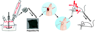 Graphical abstract: Polyaniline electrospinning composite fibers for orthotopic photothermal treatment of tumors in vivo